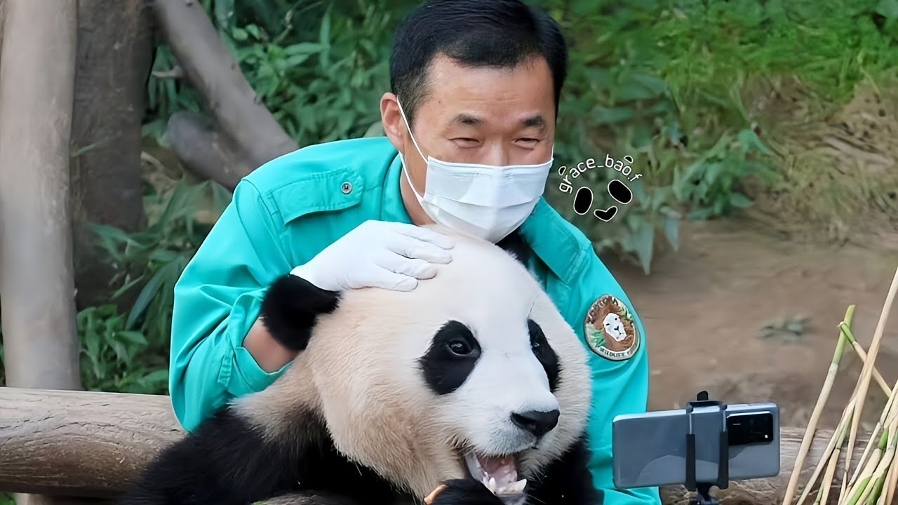 #福寶和姜爺爺