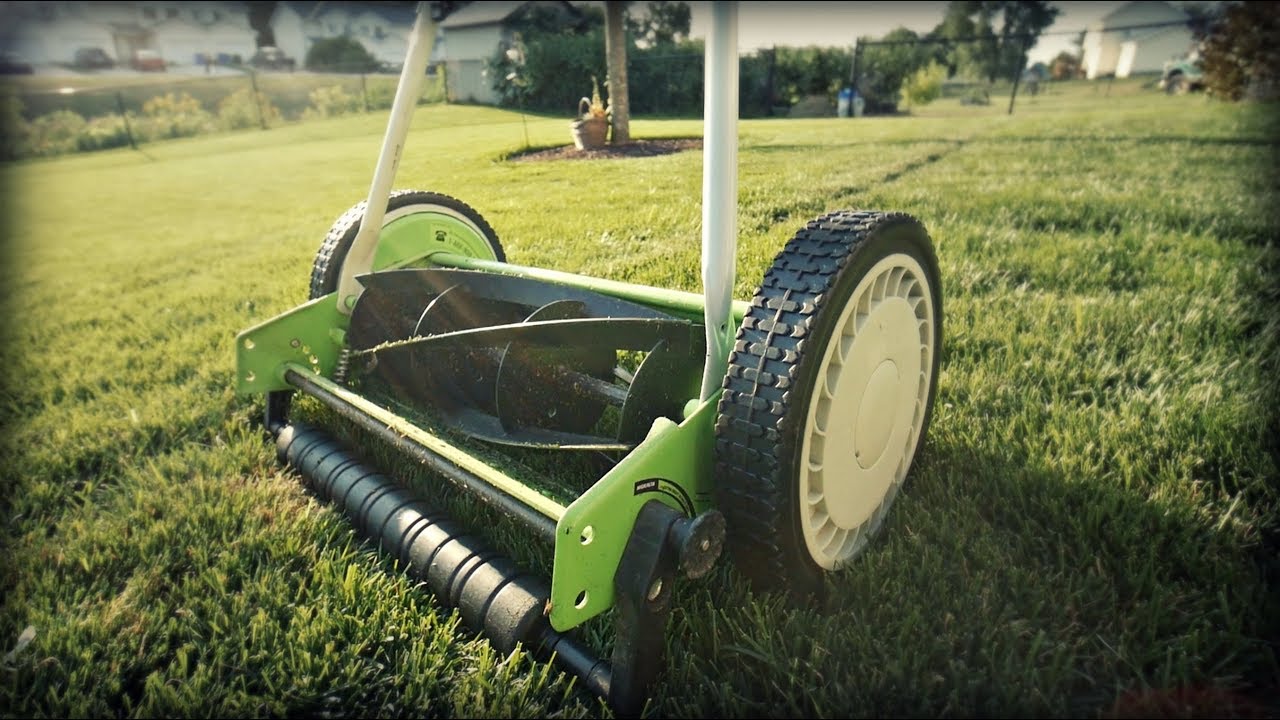 Why Lawn Renovations NEED This Reel Mower?? // Westies, Backyard Update, Swardman Electra