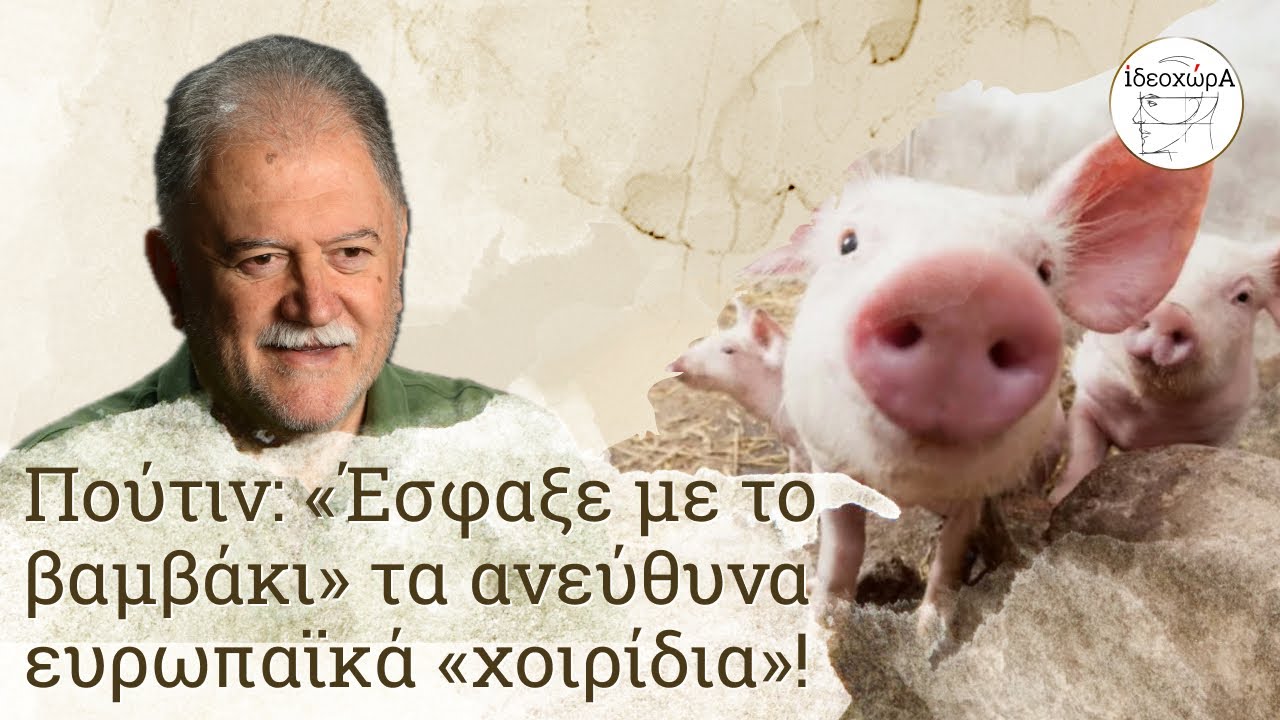 Ο Πούτιν ξεγύμνωσε την ευρωπαϊκή ελίτ: Ανεύθυνα, ζημιάρικα χοιρίδια!  #ΙΔΕΟΧΩΡΑ #ΛΙΑΤΣΟΣ #ΗΠΑ #ΡΩΣΙΑ