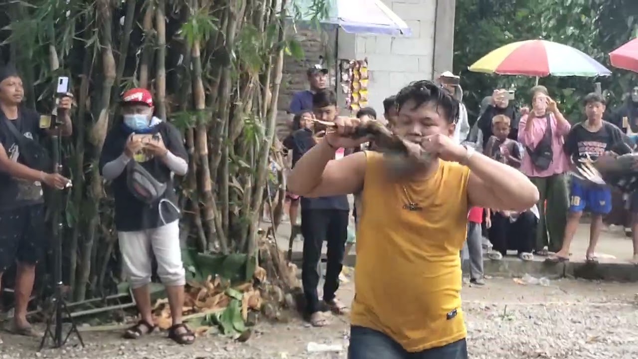 Tari Dawangan Singo Barong Cipto Budoyo
