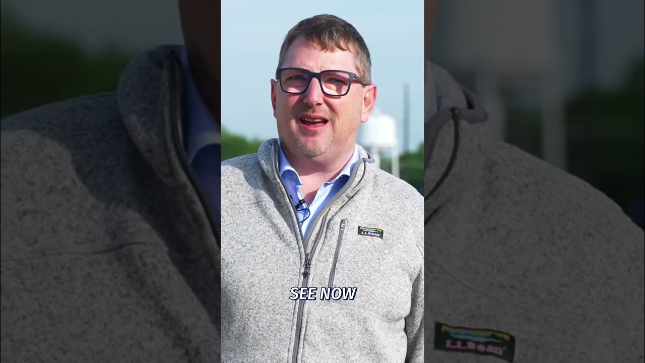 Цены на пшеницу | Глобальные потрясения и проблемы с урожаем подпитывают рынок