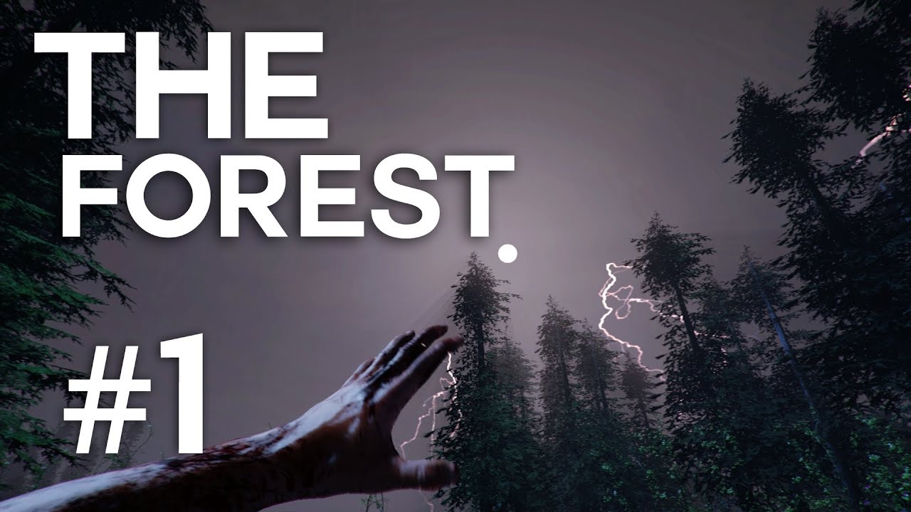 The Forest | Episodul 1