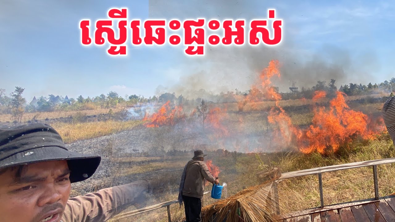 ស្ទេីឆេះផ្ទះអស់​ ព្រោះតែក្មេងៗយកឃ្មុំ