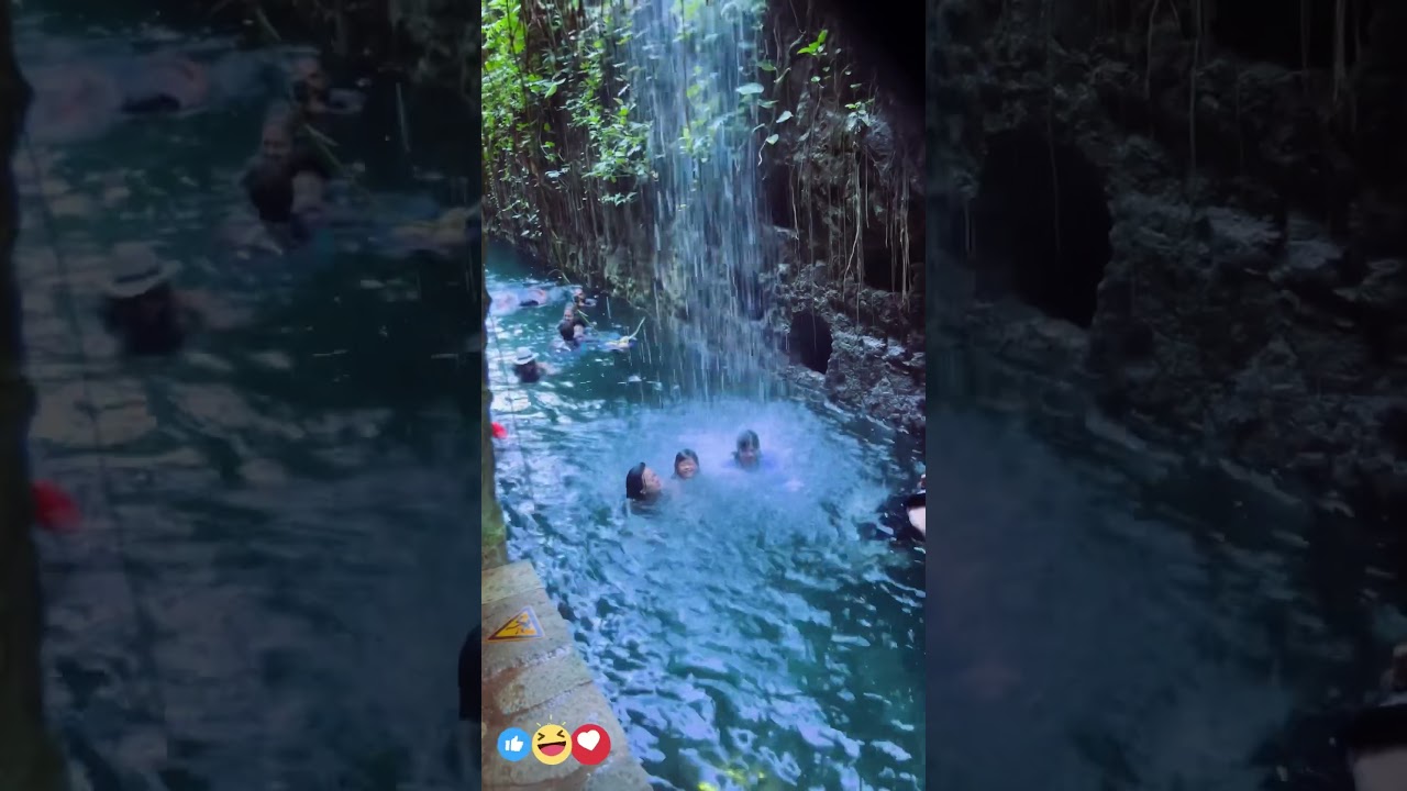 BEST Cenotes Excursion in Progreso Yucatan #yucatan #cenotes #cruisevlog