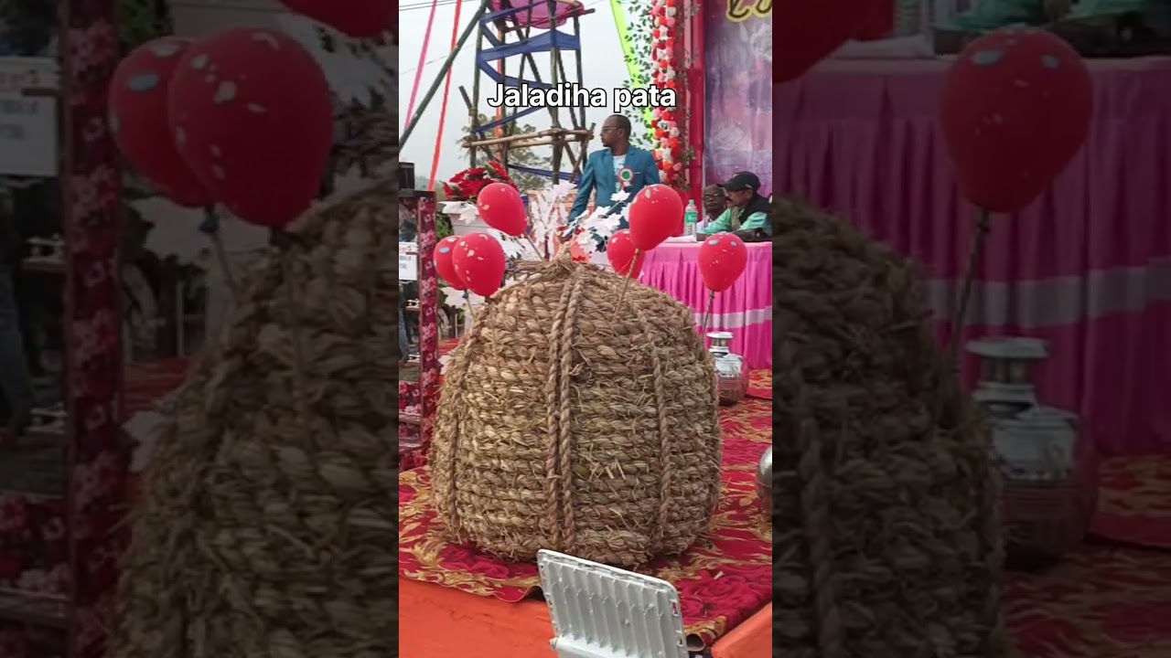 Jaladiha pata katharuma kola kuli Santali dhabul pata 