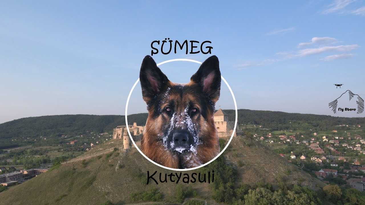 A Sümegi kutyasuli I 3. rész