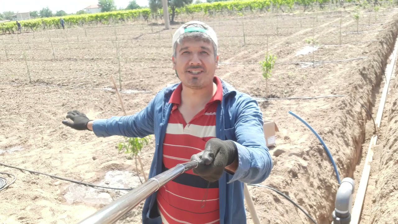 Damlama sulama sistemi nasıl yapılır, zeytine fıskıyeli damlama sistemi