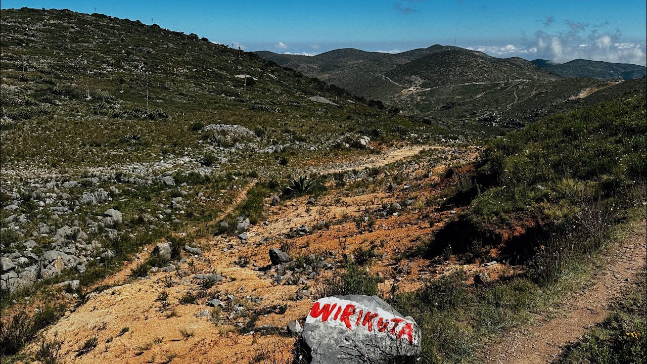 Devastador mtb 2025