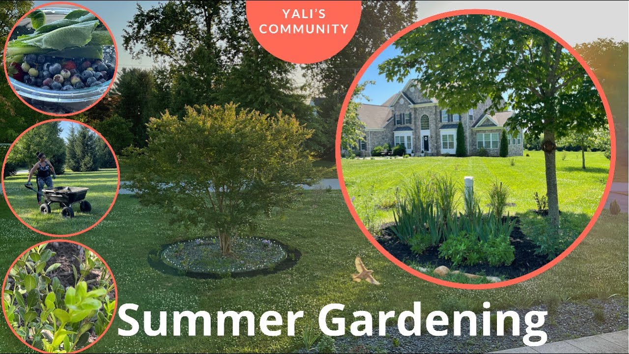 Summer Gardening: Circular HEDGE using BOXWOODS! DIY TRELLISES! GARDEN MAINTENANCE & HARVEST!