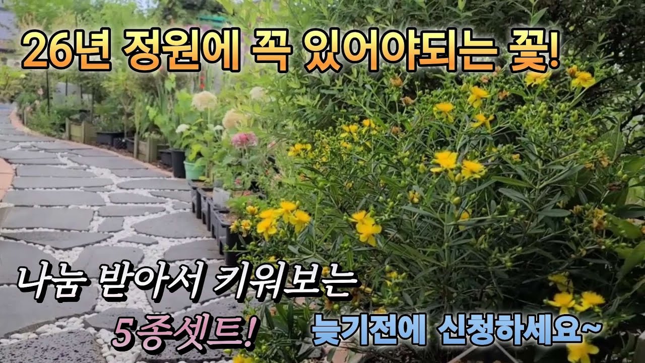 KJ가드닝#25_47/♡26년 정원에 꼭 있어야되는 꽃 #나눔 받아서 키워보는 5종셋트✨️착불~나눔이벤트 ✨️