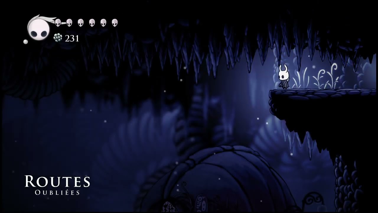 Hollow Knight test
