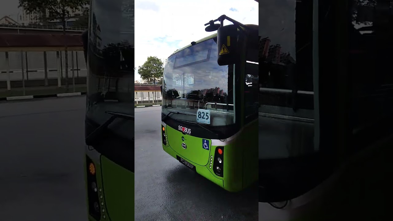Cute Bus! Tower Transit SG BYD C6 Gemilang Coachworks Electric Departing bus stop PC8561P