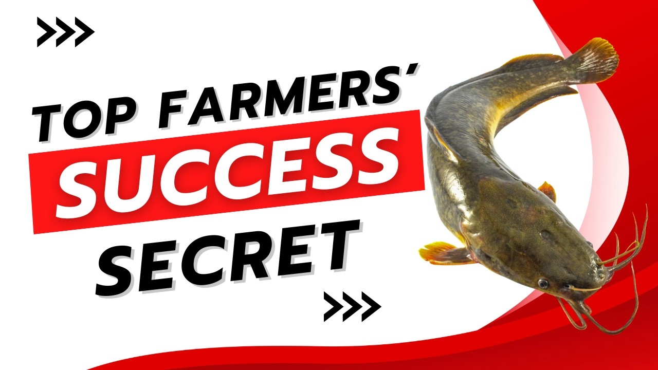 The Secret Weapon Every Catfish Farmer Should be Using!