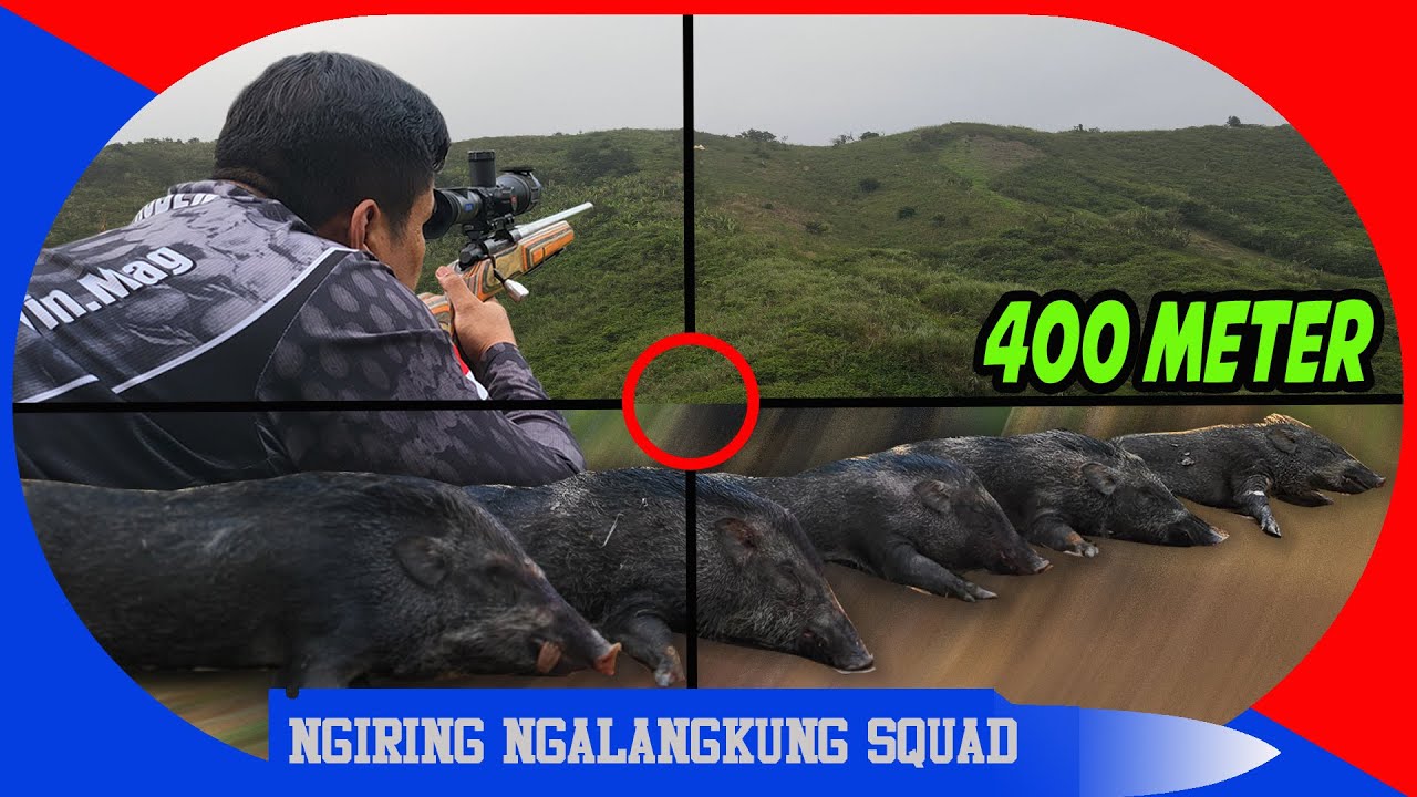 🔴BERBURU HAMA BABI BESAR 1 M4LAM DILUMPUHKAN 5 EKOR ‼️PERBAKIN Sukabumi Jawa Barat