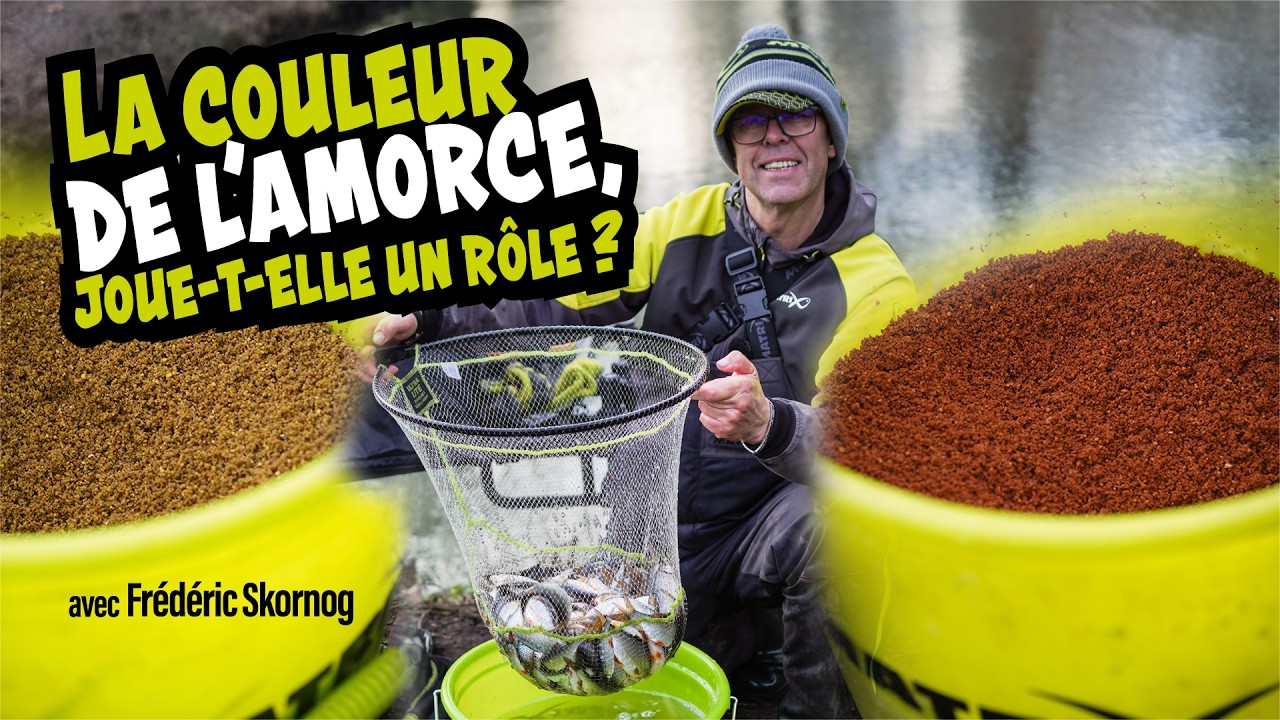 🔴🟡 Gardons et Couleur d'amorce : Qu'est-ce qui marche ???