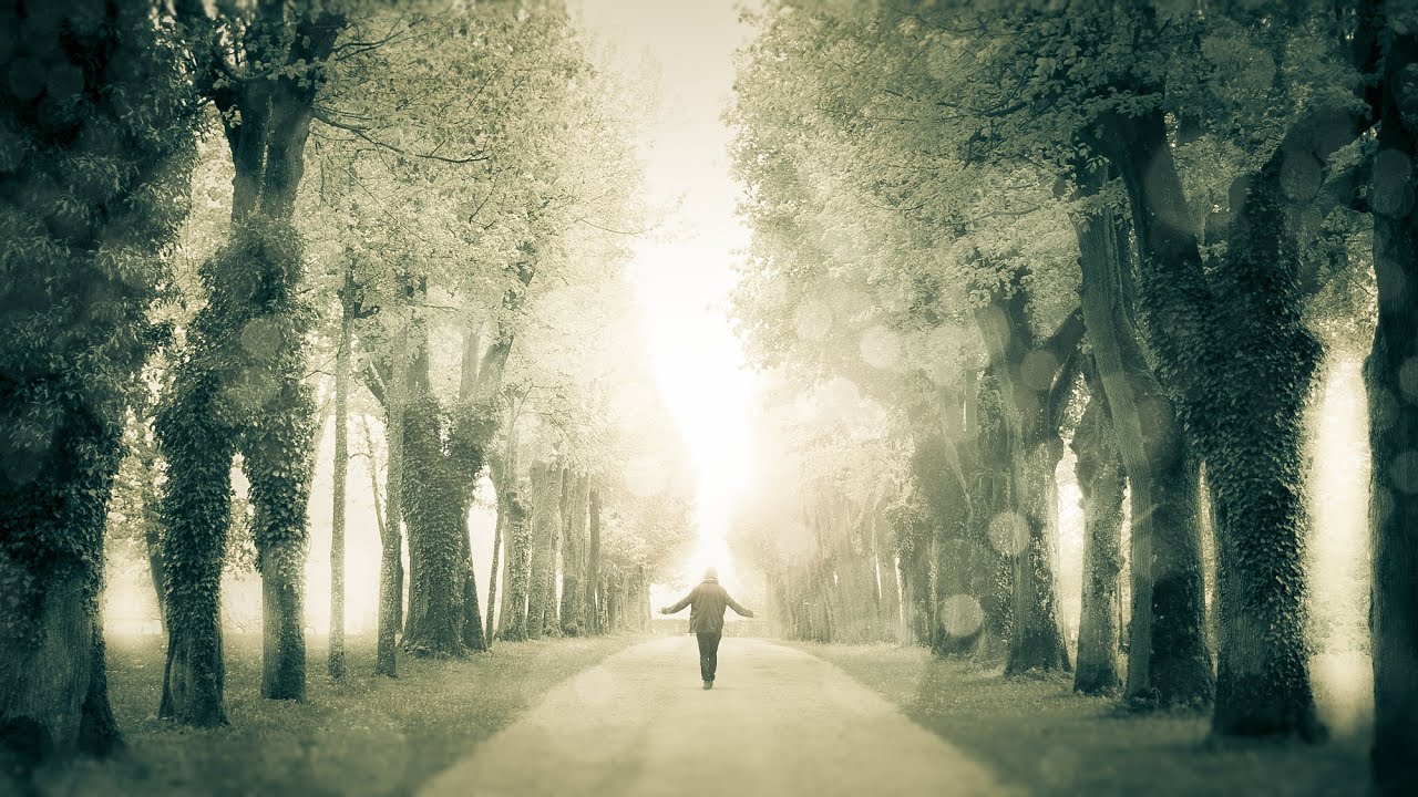 LAST LEAF DOWN - The Theme (official video)