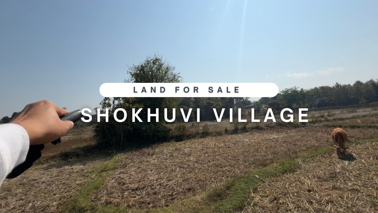 LAND FOR SALE IN SHOKHUVI VILLAGE 🏞️ (14-PURA) 