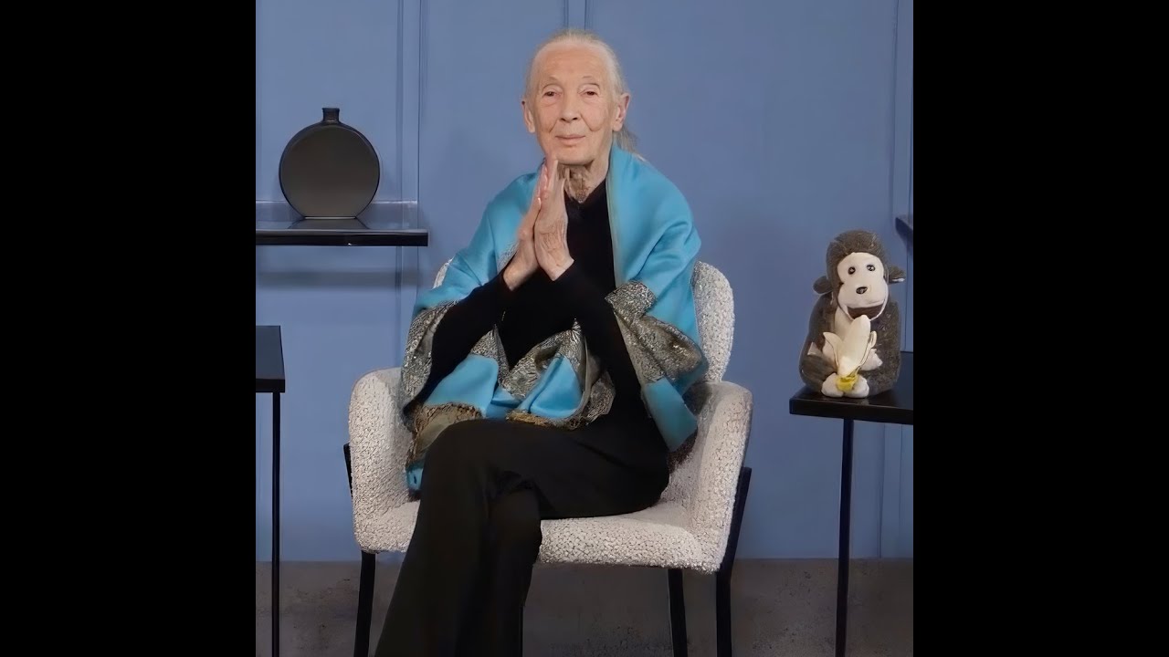 JANE GOODALL'S LAST INTERVIEW Recorded on 9/23/25