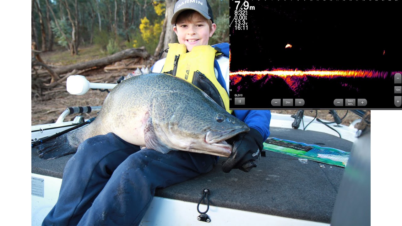 Shocked! 10 year old Henry's first big Murray Cod encounter