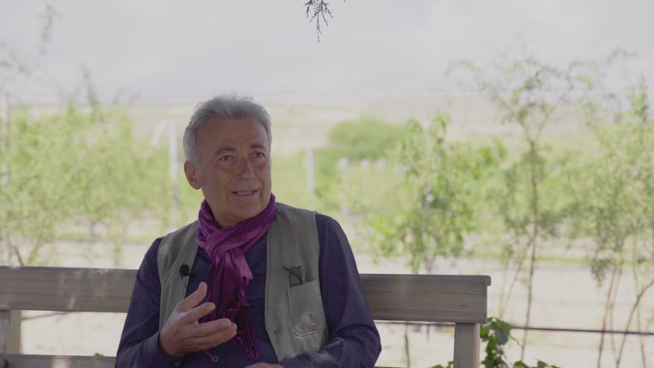 Konya'da organik tıbbi aromatik bitkiler yetiştiren bir çiftlik: Temmuz Organik