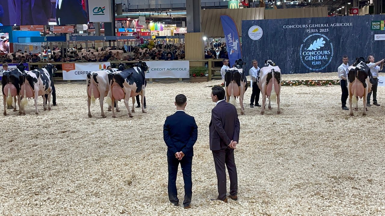 Une journée au Salon de l'agriculture avec un juge de concours