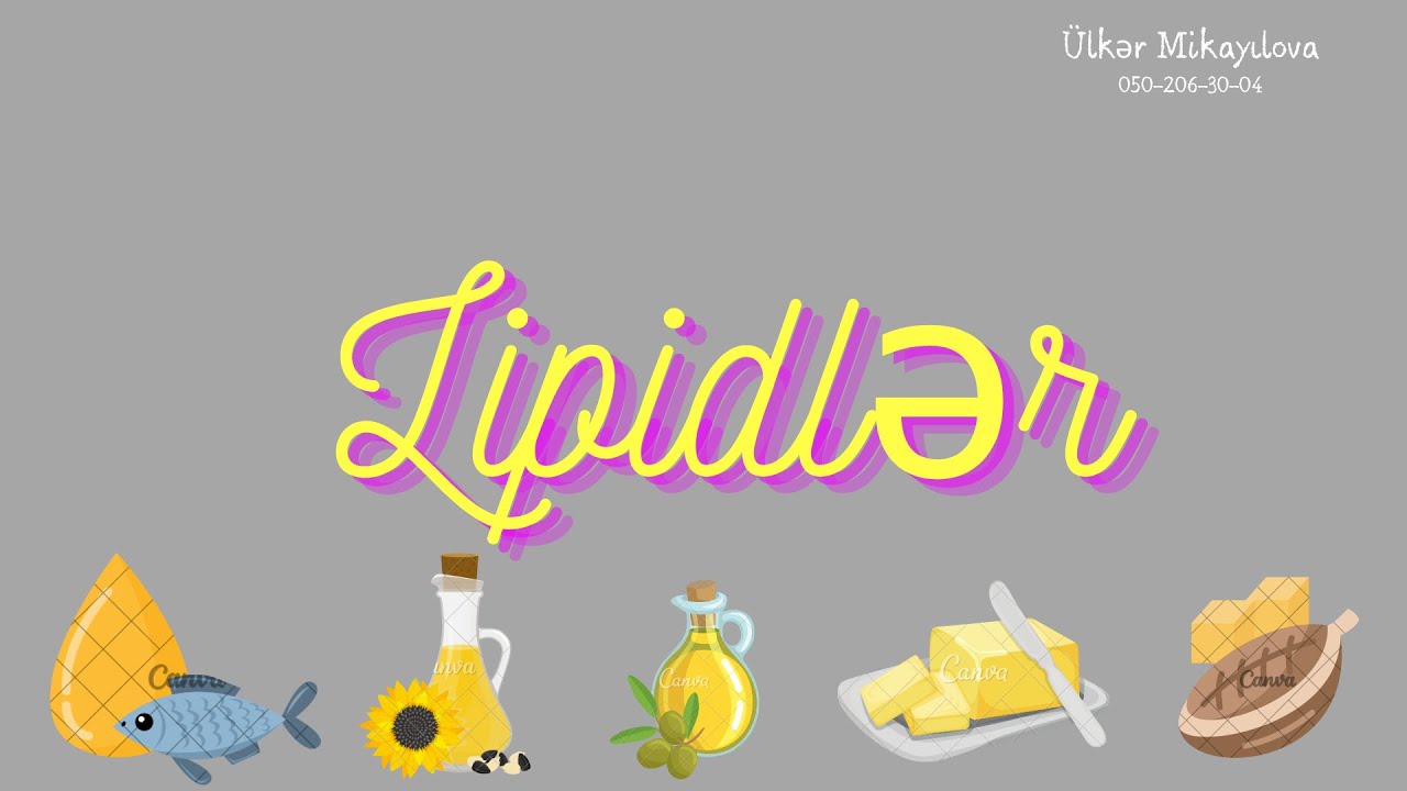 Lipidlər