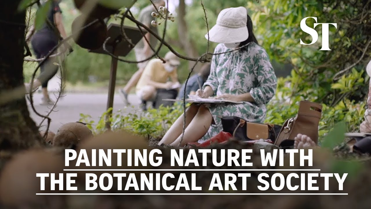 Painting nature with the Botanical Art Society