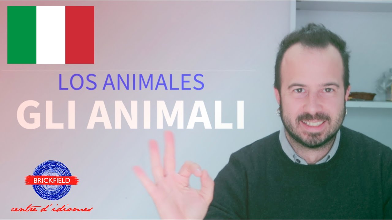 LOS ANIMALES EN ITALIANO. CURSO BÁSICO DE ITALIANO.- Episodio 10