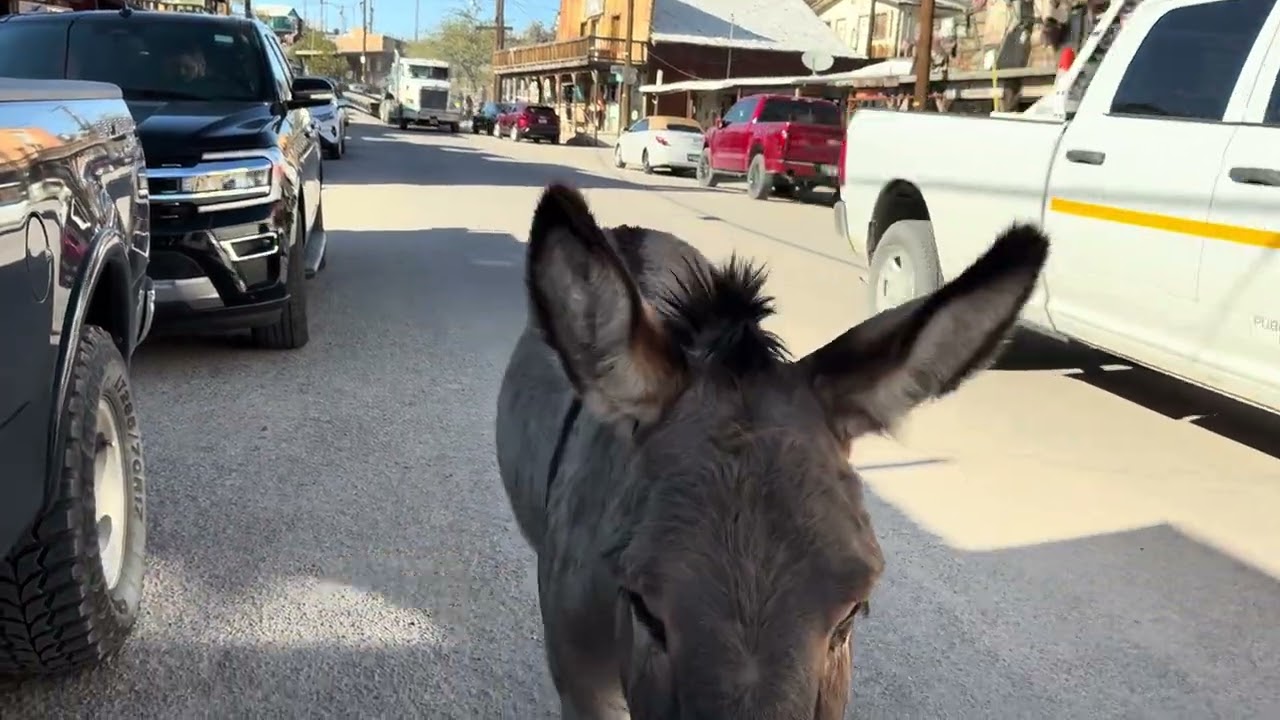 Day 5 - Barstow to Las Vegas