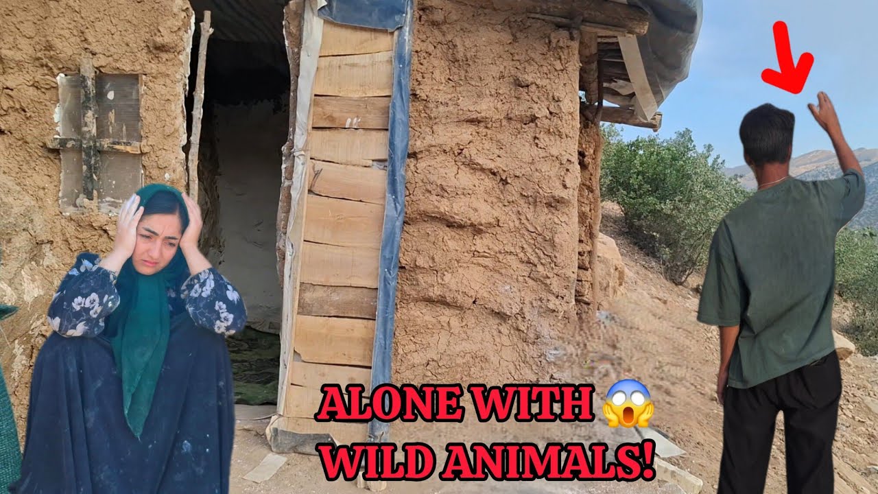 operator Abandoned the Homeless Mother Alone in the Mountains Among Wild Animals! 😱