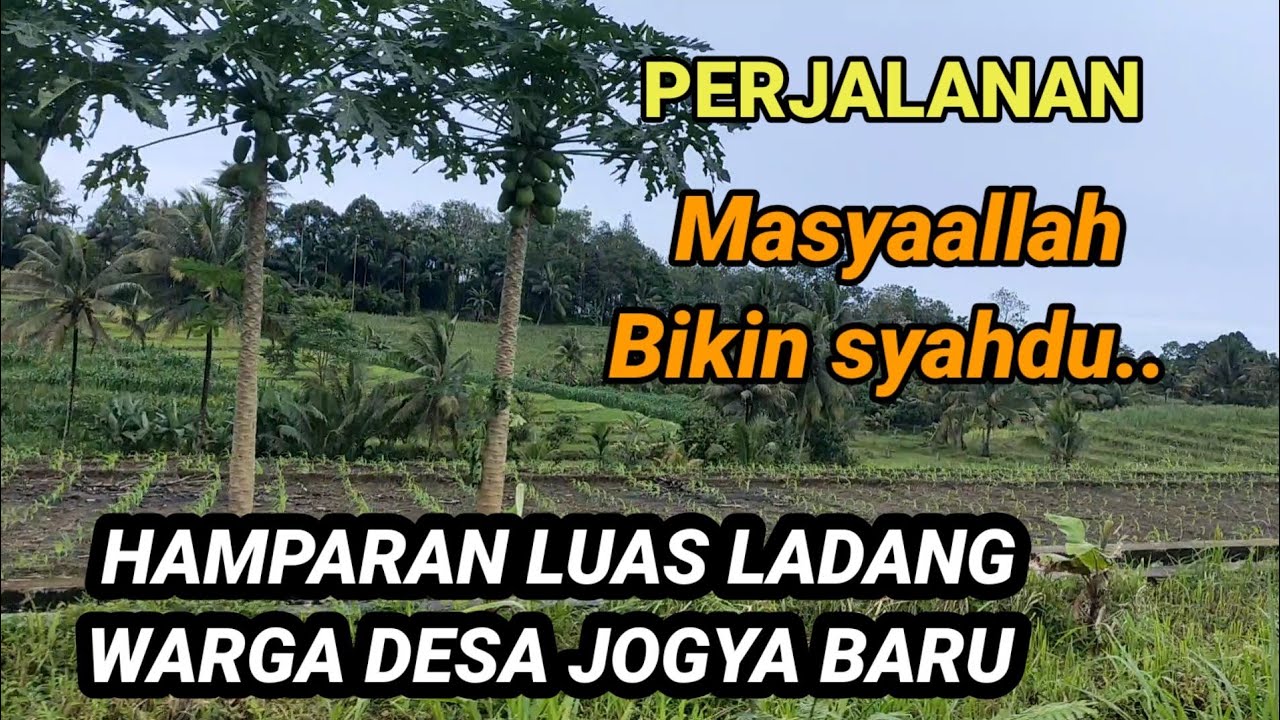 Desa ini bikin betah, tanamannya subur wargany ramah
