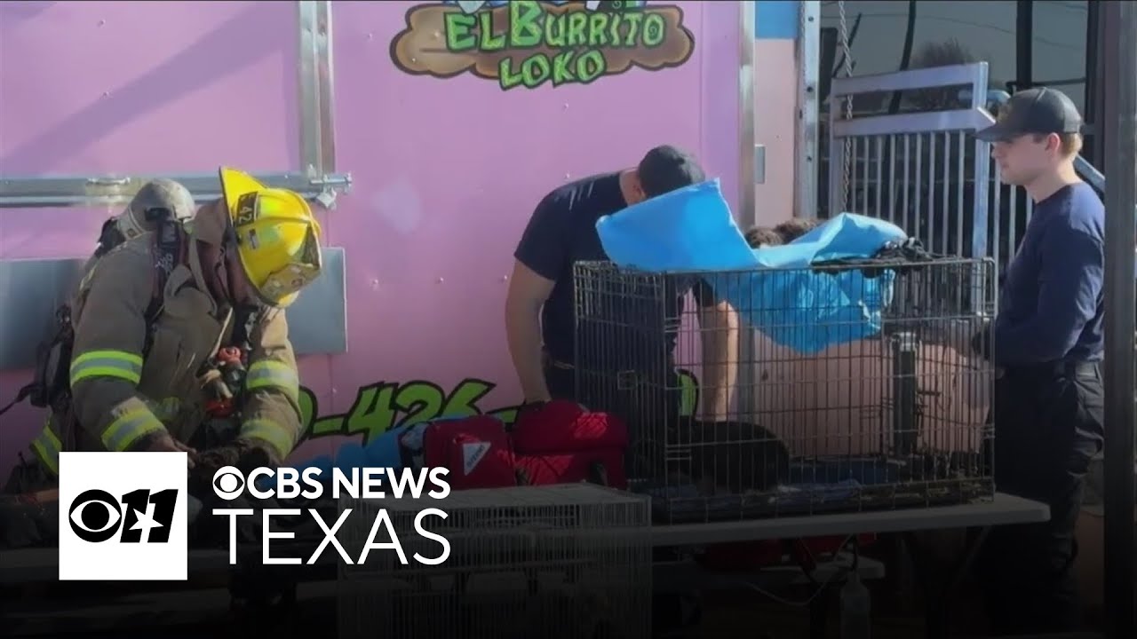 Dallas firefighter details animal rescues during tragic Plaza Latina shopping mall fire