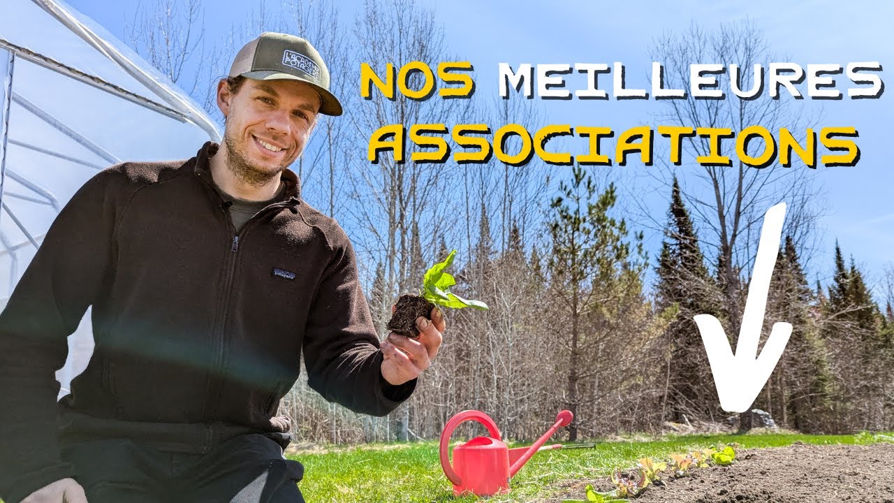 Les MEILLEURES associations de cultures pour augmenter ses récoltes ! 🍅