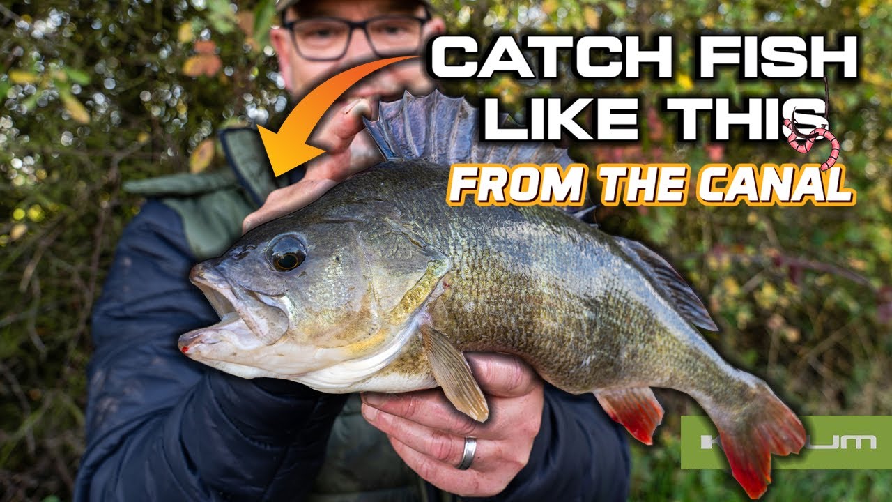 Bait Fishing For Perch - Grand Union Canal