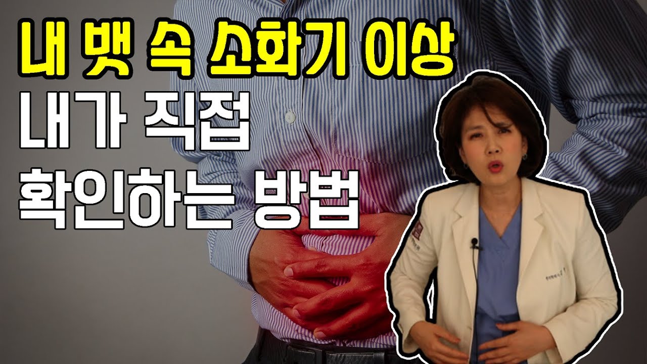뱃속 소화기 이상 셀프 체크! 내 뱃속 통증의 원인 내손으로 알아보는 방법을 알려드립니다!