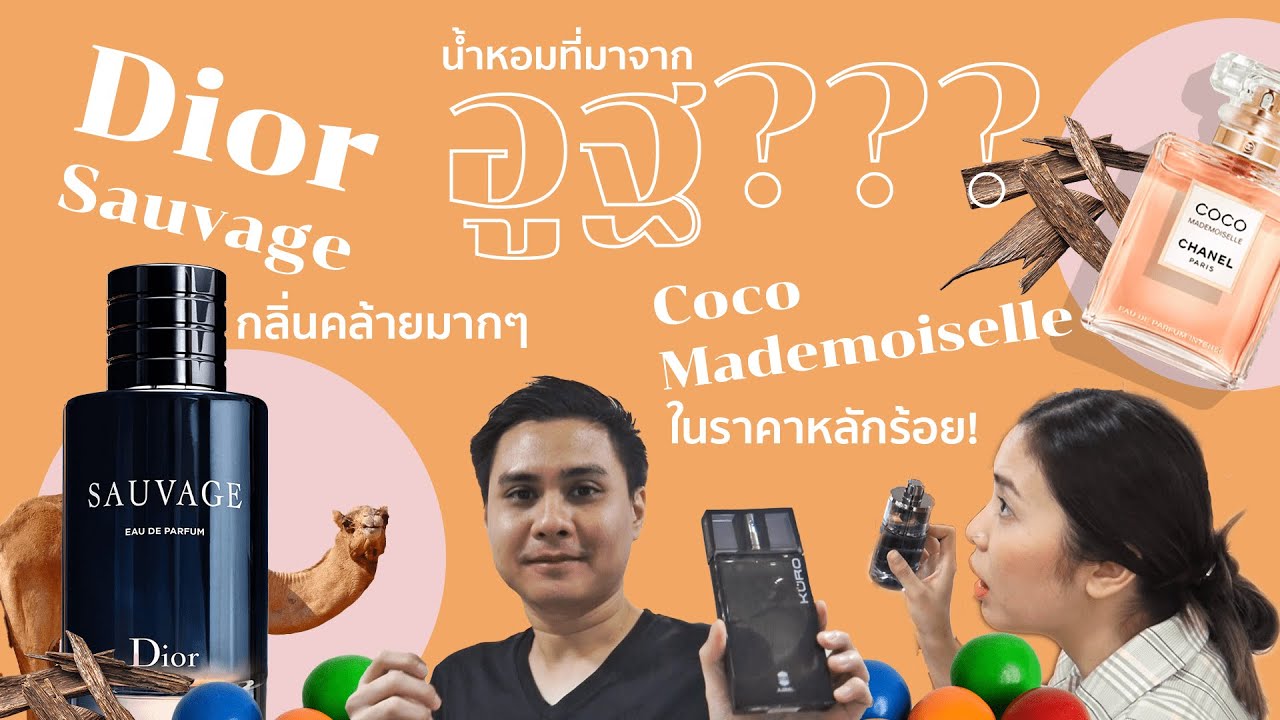 EP.2 มีร้านน้ำหอมดูไบในไทยด้วยหรอ... แล้วน้ำหอมเขาทำมาจากอูฐจริงๆดิ?