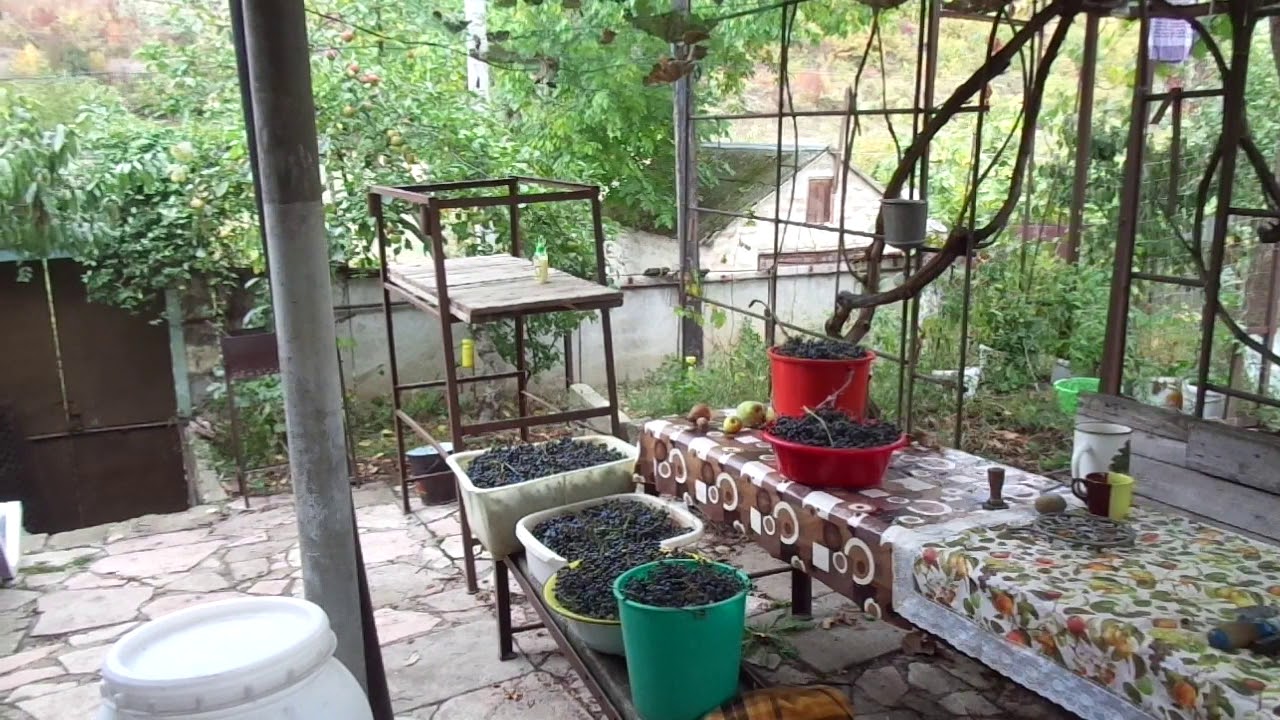 Вино из 