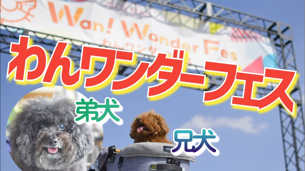 【イオンモール土岐】あの犬イベントが⁇?行ってみたwww