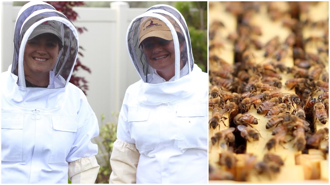 Backyard Beekeeping