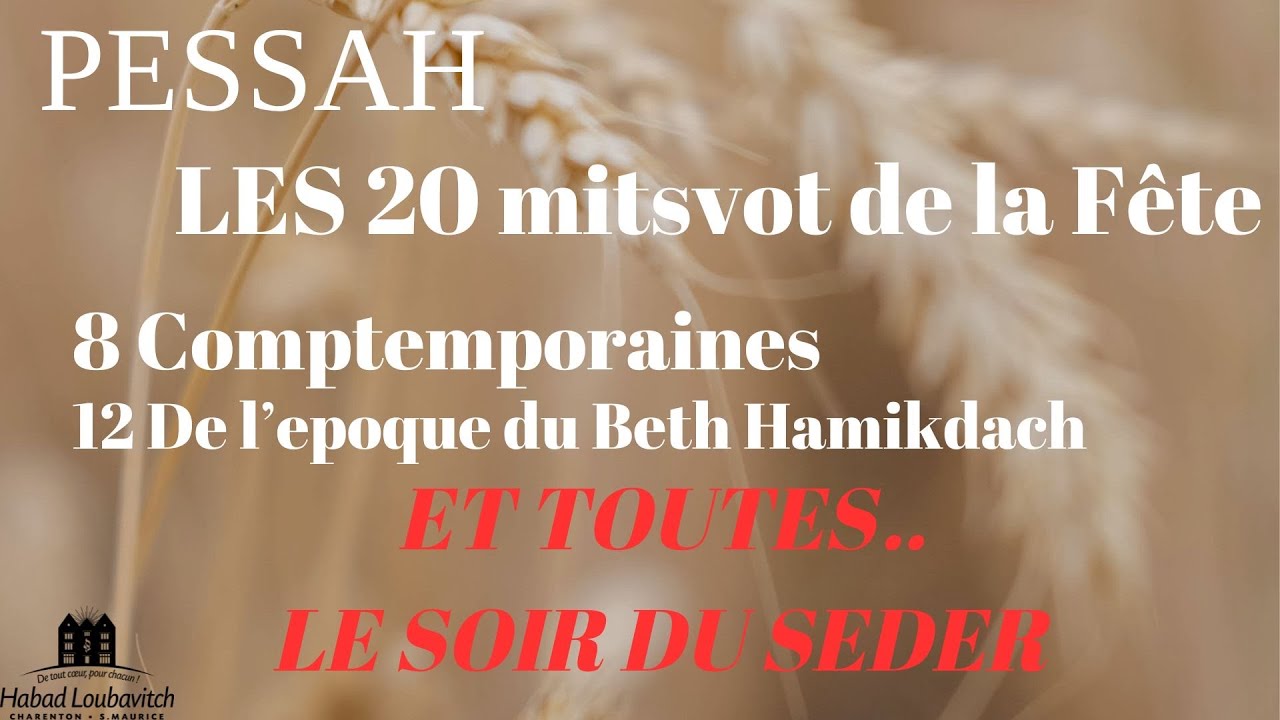 TU N’AS PAS IDÉE du scenario du Seder de Pessah !