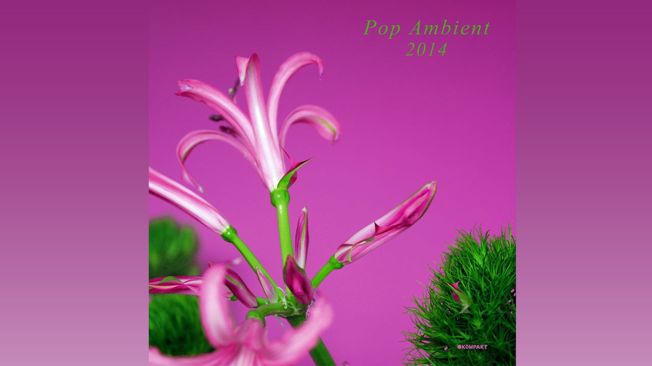 Thomas Fehlmann - Treatment 'Pop Ambient 2014' Album