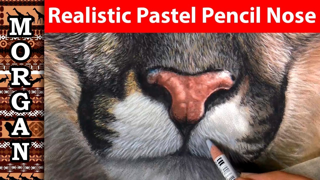 Painting a Realistic Animal Nose using  pastel pencils Jason Morgan
