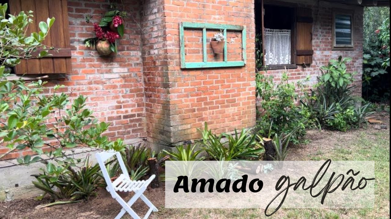 Decoração de Bromélia embeleza a limpeza do jardim!