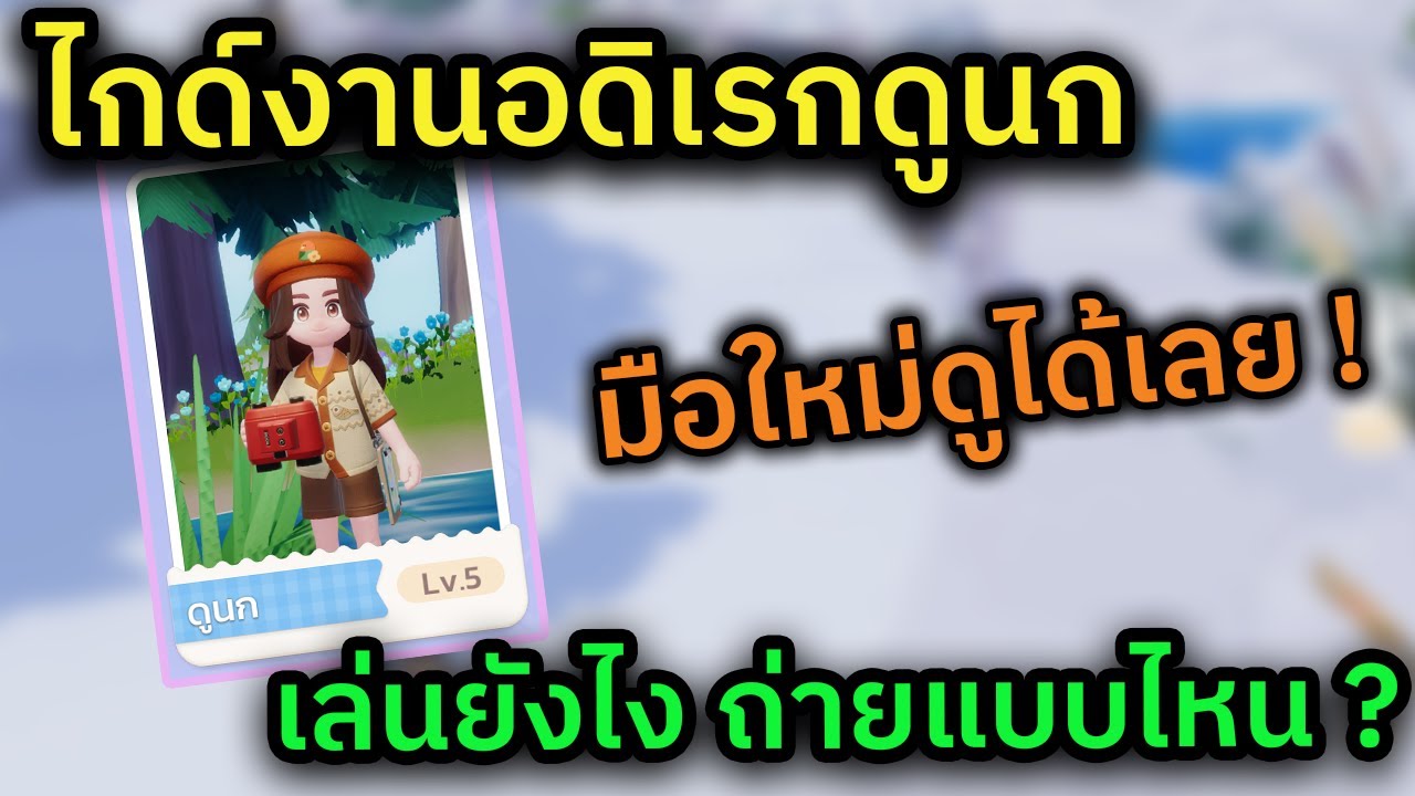 Heartopia : งานอดิเรกดูนก สอนแบบจับมือเล่น เทคนิคการเก็บดาว ไม่ยากอย่างที่คิด !