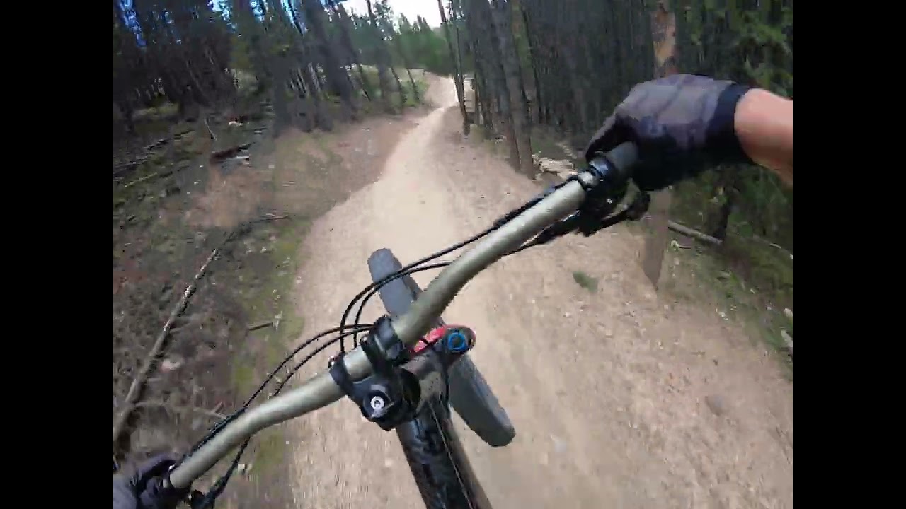 Paper Boy - Trestle Bike Park