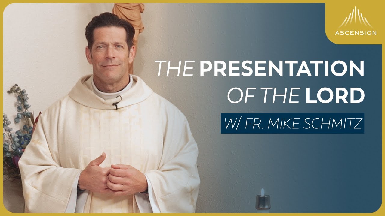 Feast of the Presentation of the Lord - Mass with Fr. Mike Schmitz