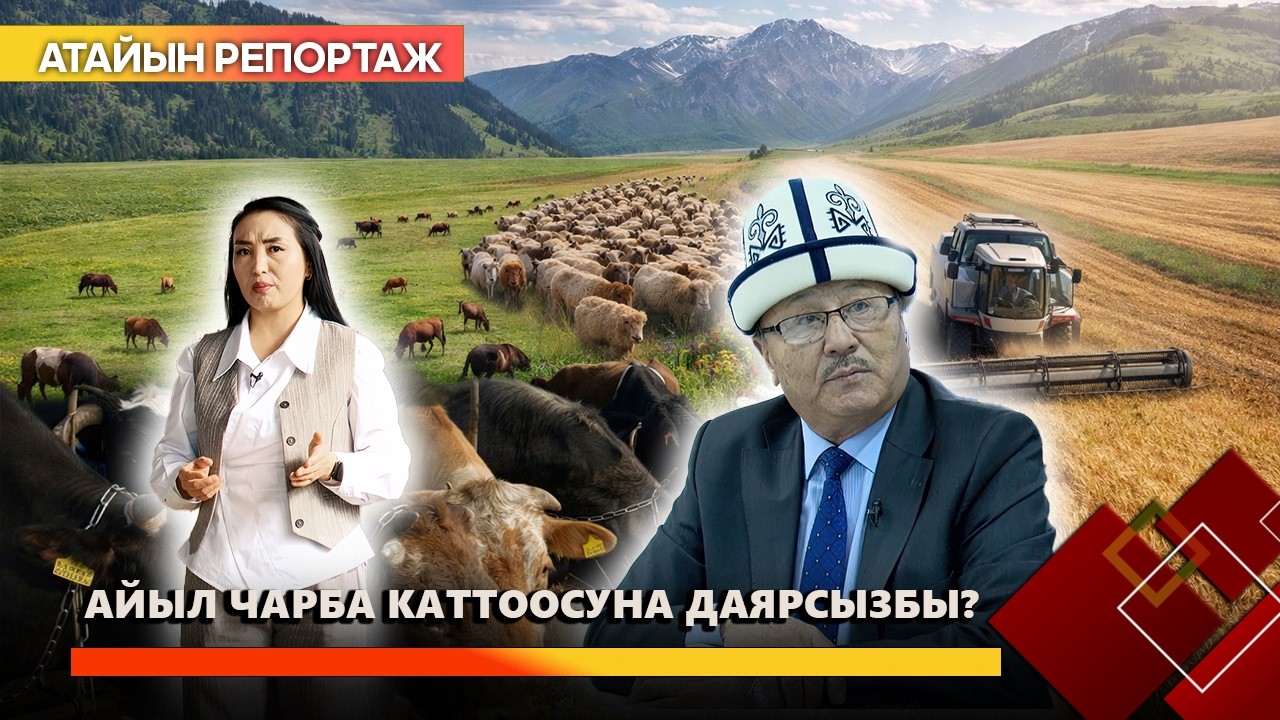 Айыл чарба каттоосуна даярсызбы? // Атайын репортаж