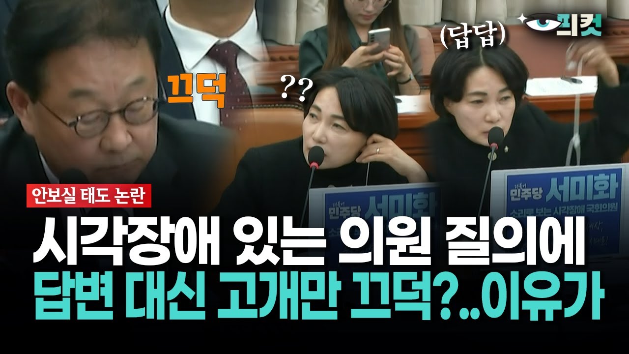 [현장영상] 시각장애 있는 서미화 의원 질의에... 고개만 끄덕인 안보실 차장?