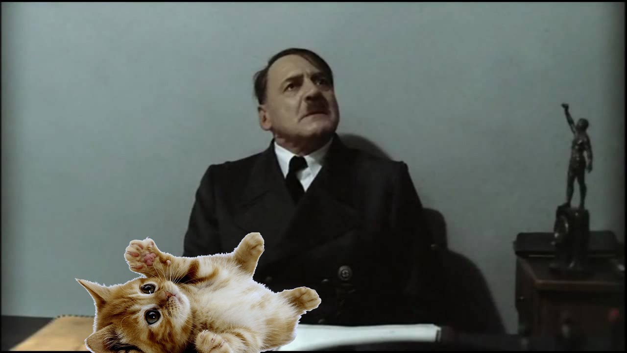 Hitler gets a Cat!