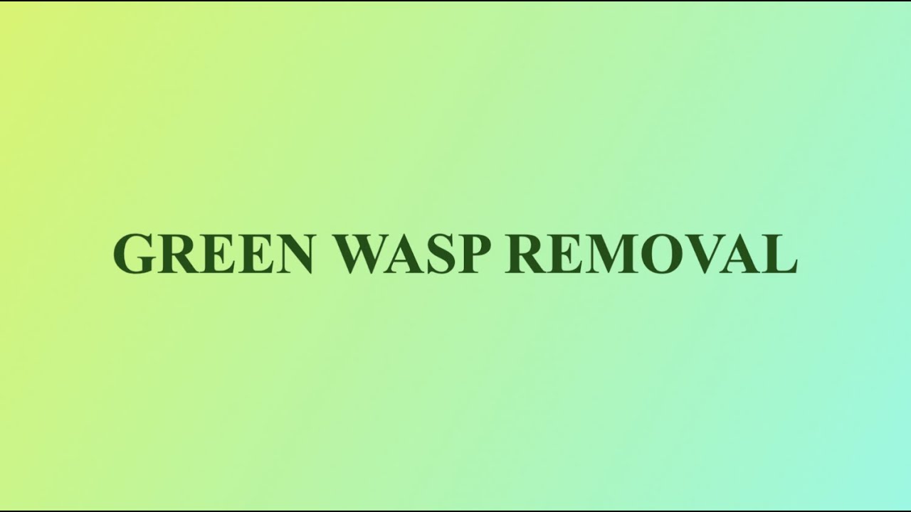 GREEN WASP REMOVAL - ENVIRONMENTALLY RESPONSIBLE  WASP CONTROL & REMOVAL! 100% Natural Pest Control!